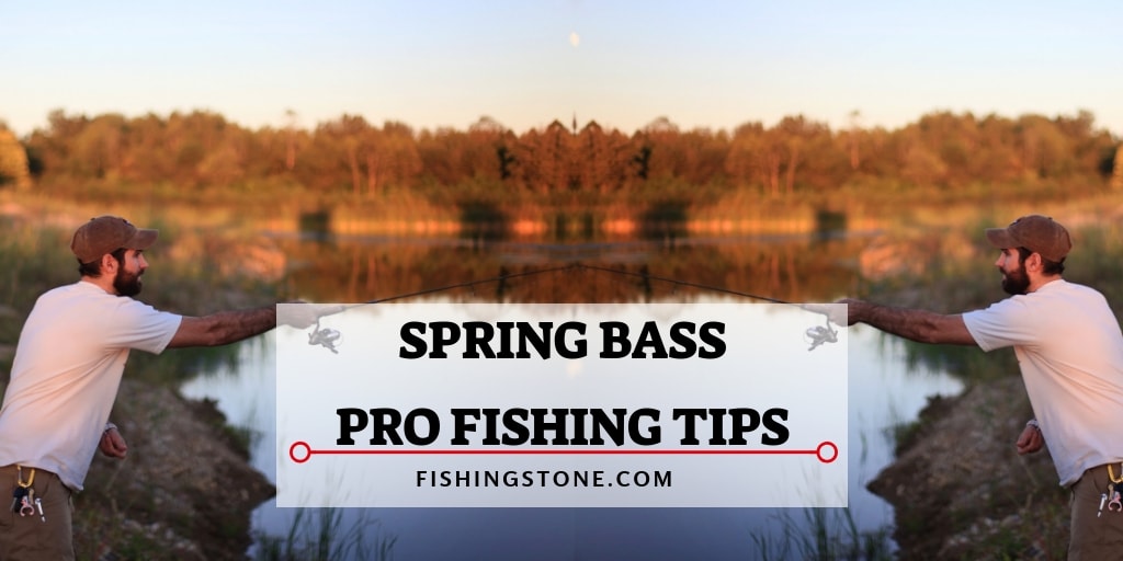 4 Spring Bass Fishing Tips Catch Bass Like a Pro Fishing Techniques